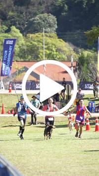 BIB:  <button type="button" onclick="openModal(26594819)" class="btn btn-primary btn-sm float-right" data-toggle="modal" data-target=".modal-high-quality">
                <i class="fa fa-download"></i> Download
                </button>